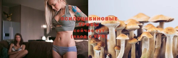 спиды Сосновка
