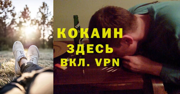 спиды Сосновка
