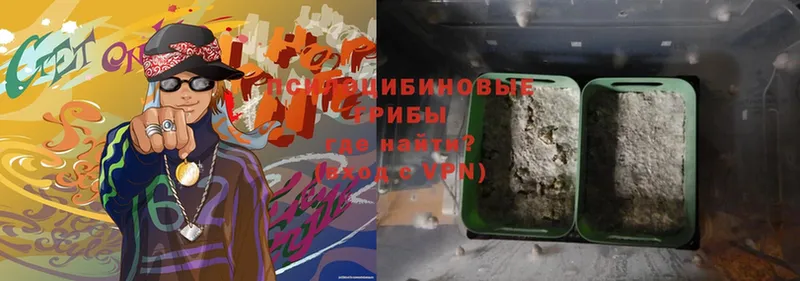 Галлюциногенные грибы MAGIC MUSHROOMS  kraken ONION  Хадыженск 