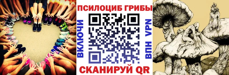Псилоцибиновые грибы GOLDEN TEACHER  Хадыженск 